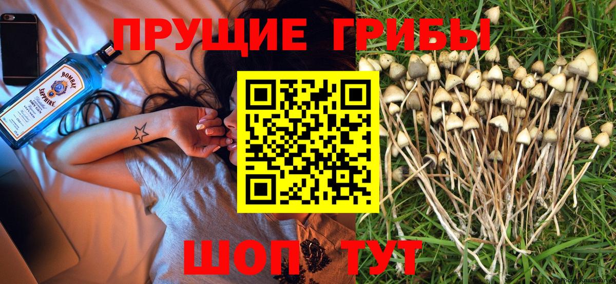 Галлюциногенные грибы Magic Shrooms  Псилоцибиновые грибы мицелий  Вход с VPN  Свободный 